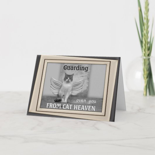 Carte de sympathie de l'angle de chat (Devant)