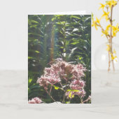 carte de sympathie de libellule (Fleur jaune)