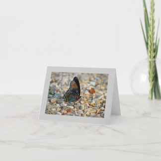 Carte de sympathie de papillon