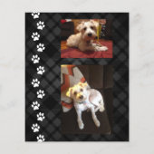 carte de sympathie de perte de animal de compagnie (Dos)