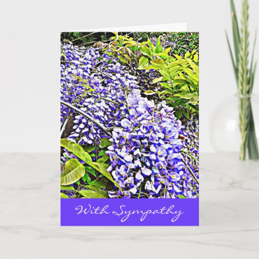 Carte de sympathie de Wysteria avec le beau (Devant)