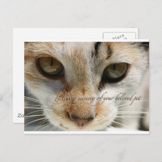 carte de sympathie du chat (Devant / Derrière)