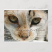 carte de sympathie du chat (Devant)