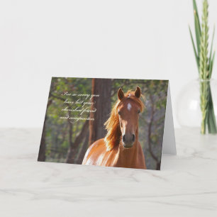 Carte de sympathie du cheval