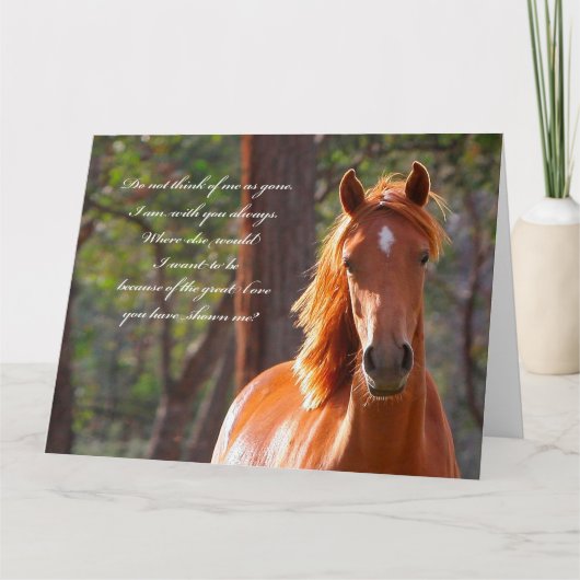 Carte de sympathie du cheval (Devant)