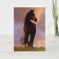 Carte de sympathie du cheval