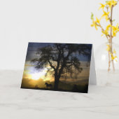 Carte de sympathie du cheval (Fleur jaune)