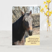 Carte de sympathie du cheval avec devis (Fleur jaune)