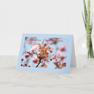 carte de sympathie en fleur rose espagnol