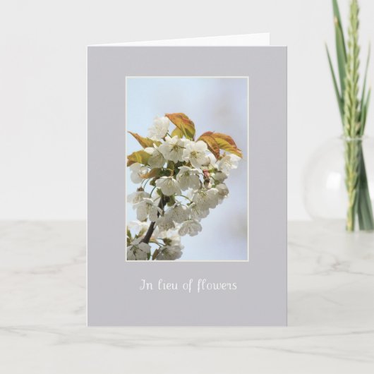 carte de sympathie en fleurs blanches au lieu de f (Devant)