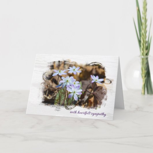 Carte de Sympathie fleur sauvage (Devant)