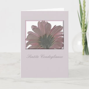 carte de sympathie gerbera rose italien