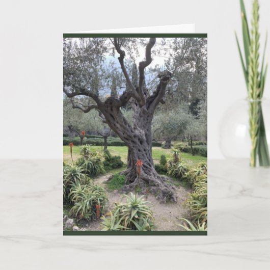 Carte de Sympathie Gethsemane (Devant)