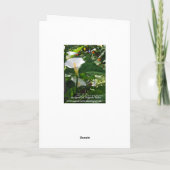 Carte de sympathie grecque avec les lillies blancs (Dos)