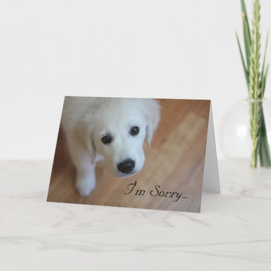 Carte de sympathie, je suis désolé pour… (Devant)