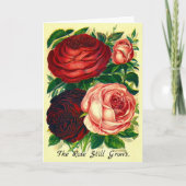 Carte de sympathie Le Rose continue à grandir au-d (Devant)