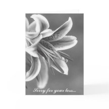 Carte de Sympathie Lillie Black et White Star