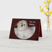 Carte de sympathie maltaise sur Bourgogne et blanc (Fleur jaune)