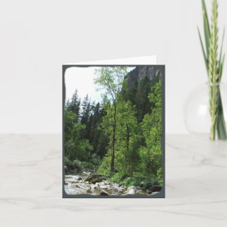 Carte de sympathie paisible de forêt