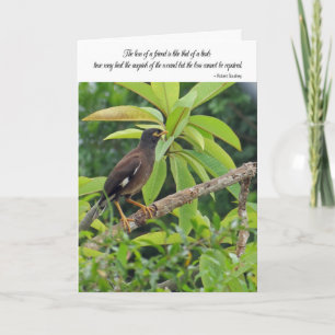 Carte de sympathie - perte d'un ami