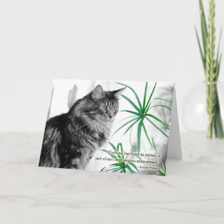 Carte de sympathie pour animal de compagnie pour c