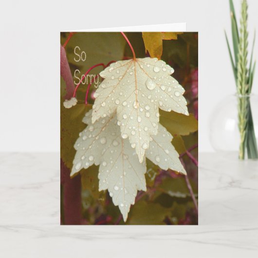 Carte de sympathie pour animal de compagnie pour l (Devant)