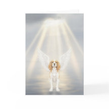 Carte de sympathie pour animal de compagnie Toujou
