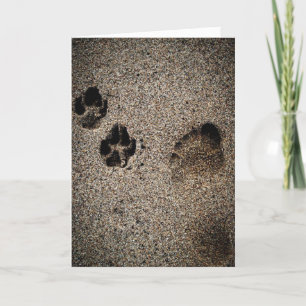 Carte de sympathie pour avoir perdu un chien bien-