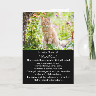 Carte de sympathie pour chat personnalisée avec ph