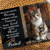 Carte de sympathie pour chat personnalisée avec ph