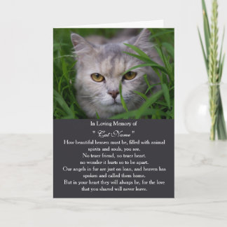 Carte de sympathie pour chat personnalisée avec ph