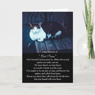 Carte de sympathie pour chat personnalisée avec ph