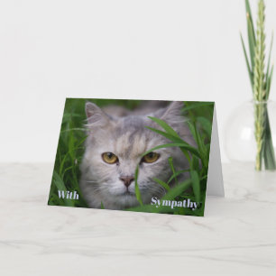 Carte de sympathie pour chat personnalisée Mémoria