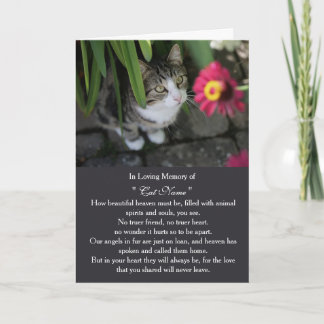 Carte de sympathie pour chat photo personnalisée M