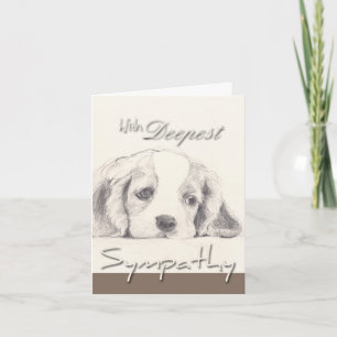 Carte de sympathie pour chien avec devis