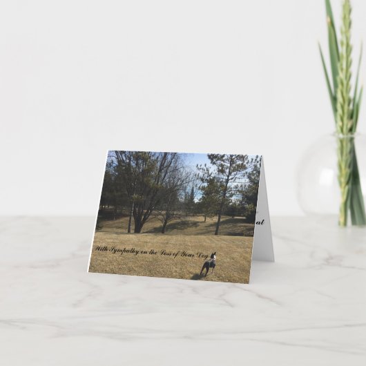 Carte de sympathie pour chien de compagnie Boston (Devant)