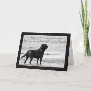 Carte de sympathie pour chien de compagnie - Touch