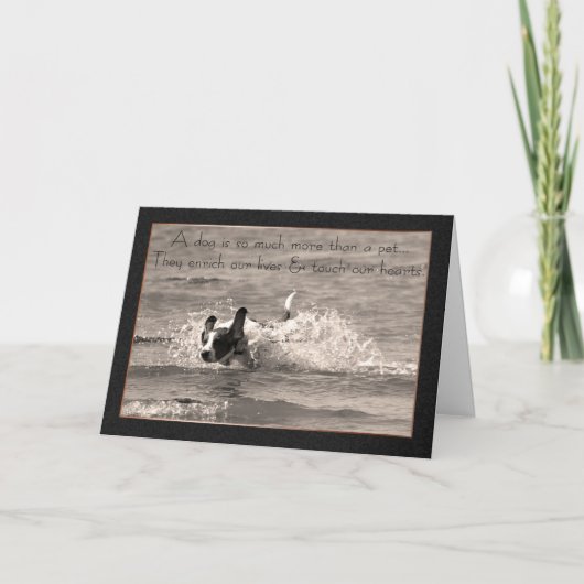 Carte de sympathie pour chien de compagnie - Touch (Devant)