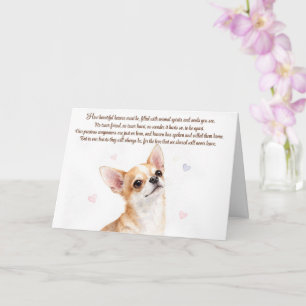 Carte de sympathie pour chien de type Chihuahua av