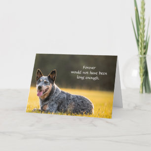 Carte de sympathie pour chien pour perte mémorial