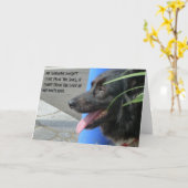 Carte de sympathie pour chien - Soleil dans les ye (Fleur jaune)