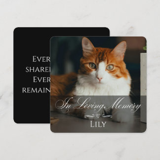 Carte de sympathie pour perte de chat avec photo e