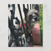 Carte de sympathie pour perte vintage d'animal (Dos)