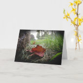 Carte de sympathie « Premier signe de l'automne » (Fleur jaune)