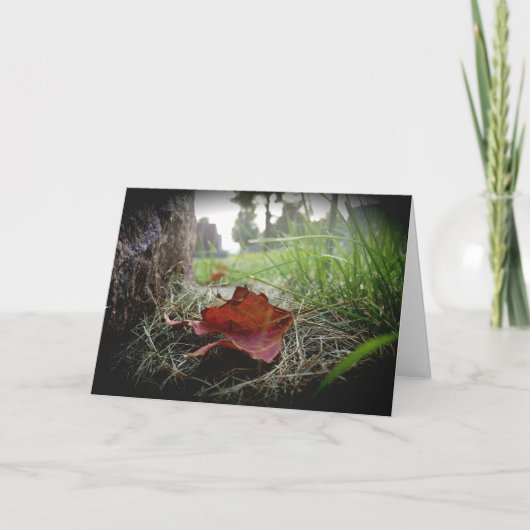 Carte de sympathie « Premier signe de l'automne » (Devant)