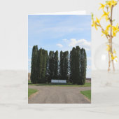 Carte de sympathie « Saint Augustine Landscape » # (Fleur jaune)