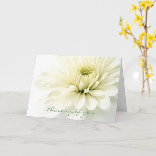 Carte de sympathie sincère (Fleur jaune)