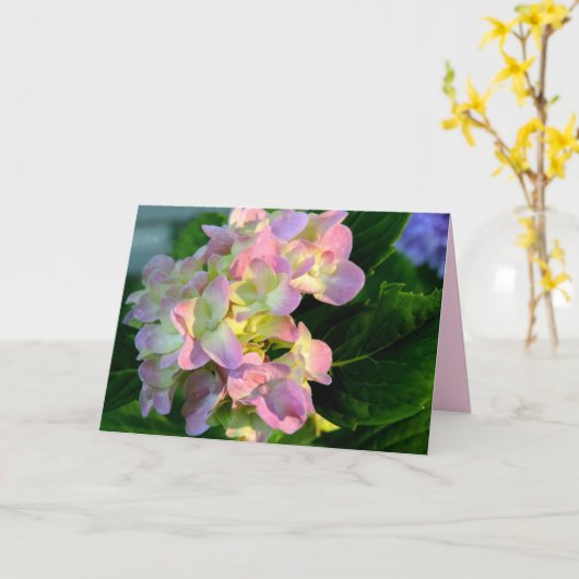 Carte de Sympathie Sunlit Pink Hydrangea (Fleur jaune)