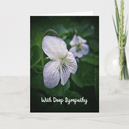 Carte de sympathie Wild Violets (Devant)