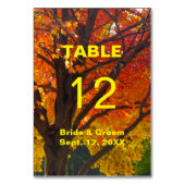 Carte de table de mariage de feuilles d'automne (Dos)
